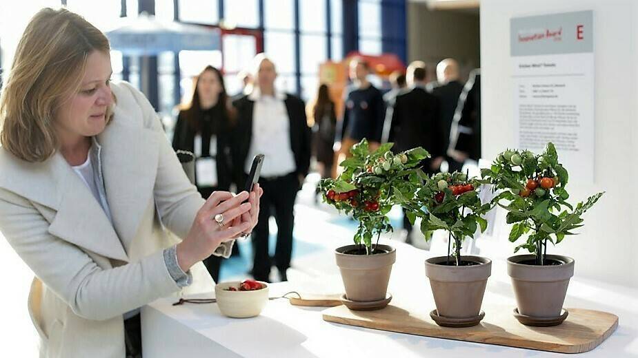 FruitLogística-2018AWARD- MesseF-tomatitos-balcón-|FruitLogistica-FLIA-Avocado Pitter 300|FruitLogistica-FLIA-Bejo|Fruit-Logistica-FLIA-Forigo-Modula|FruitLogistica-FLIA-Oriental-Red|FruitLogistica-FLIA-Perfotec|dav|FruitLogistica-FLIA-Viscotec|FruitLogis